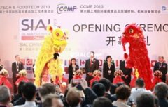 LChina2013中食展吸引了越来越多的中国展商 